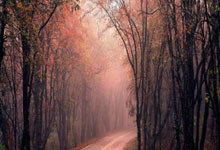 B体育体育新闻-芬兰精彩逆袭，击败亚美尼亚！顺利锁定晋级名额，足球新星闪耀赛场！