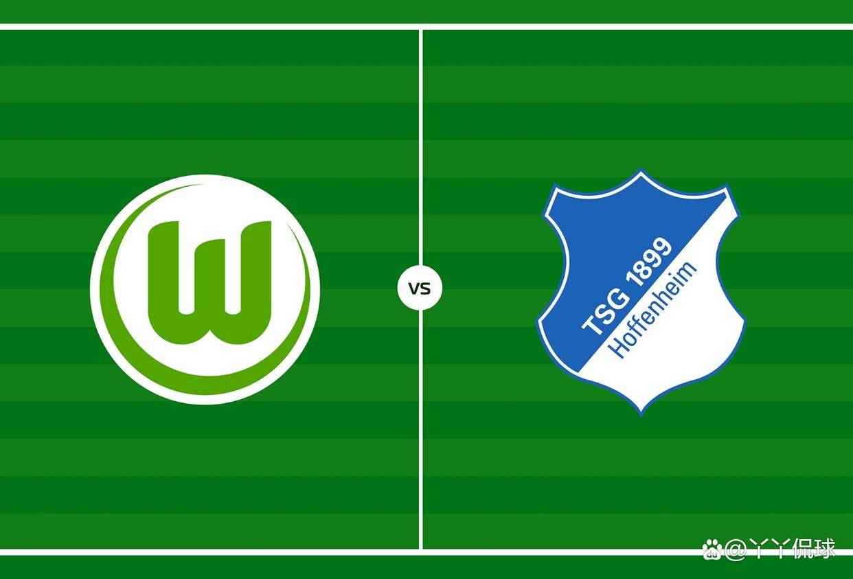 没有轻敌!霍芬海姆遭遇沃尔夫斯堡的逆袭的简单介绍 没有轻敌!霍芬海姆遭遇沃尔夫斯堡的逆袭的简单介绍